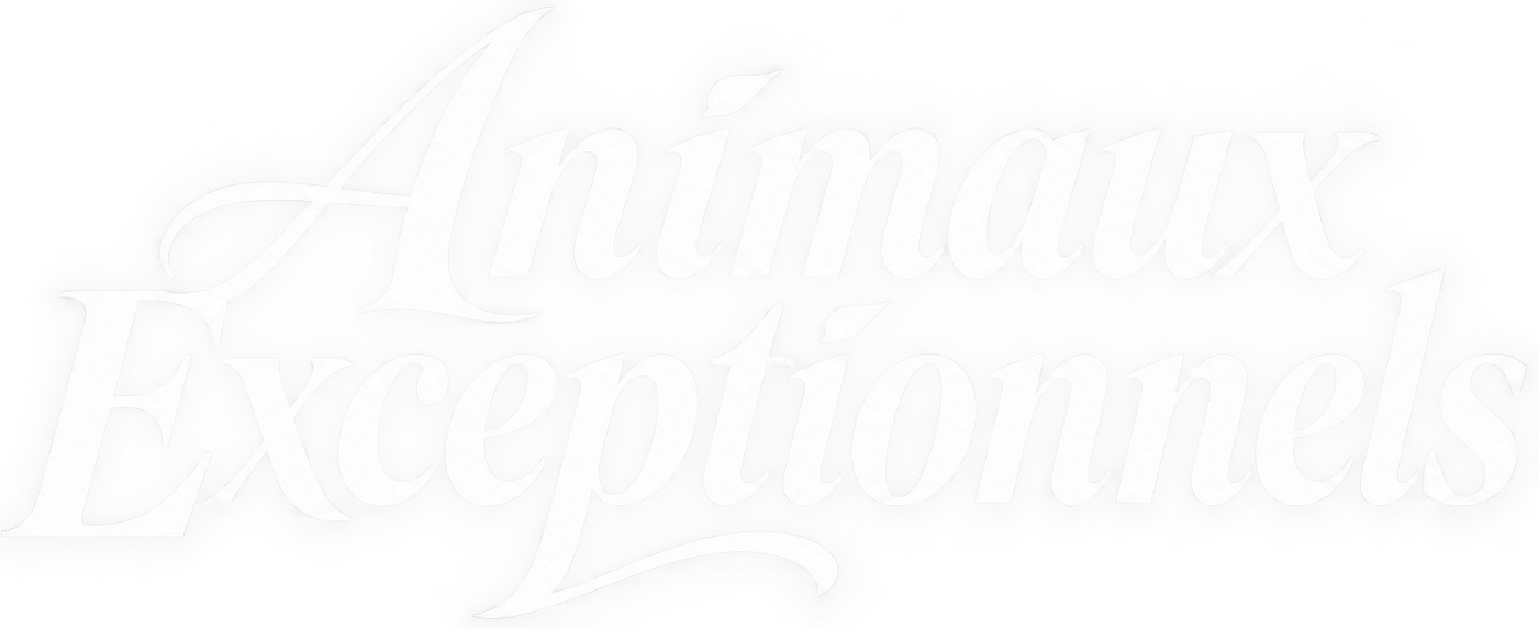 Animaux Exceptionnels